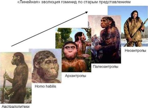 Факторы, влияющие на эволюцию Homo sapiens