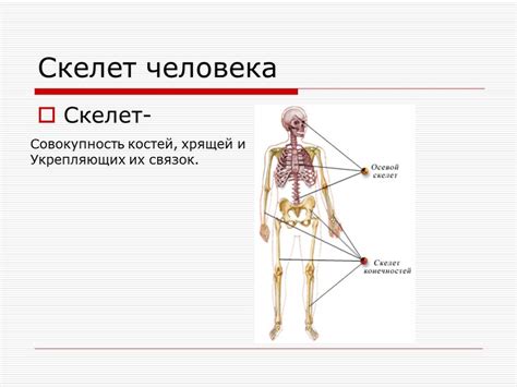 Факторы, которые влияют на обрезку флоксов