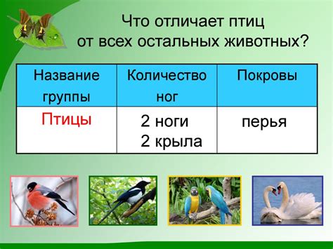 Факторы, способствовавшие отделению человека от остальных животных