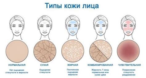 Факторы влияющие на тип кожи