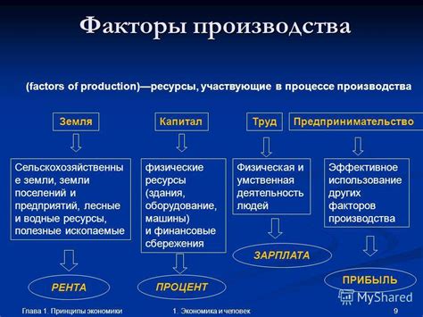Факторы оптимизации производства