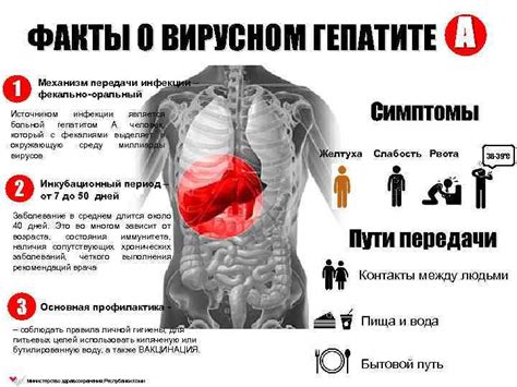 Факты о передаче инфекции: