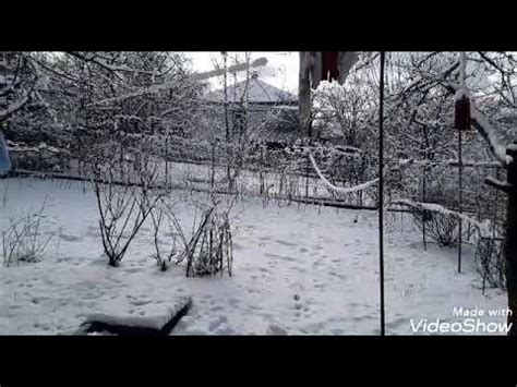 Февральская снежная красота
