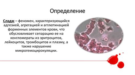 Феномен повторений: причины и особенности