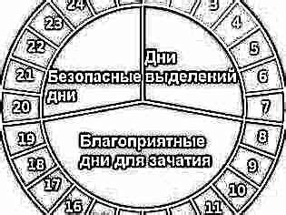 Фертильное окно: ключ к зачатию