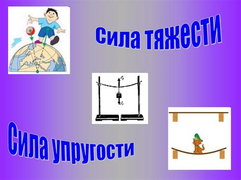 Физика: принципы равновесия в балансе между весом тела и силой тяжести