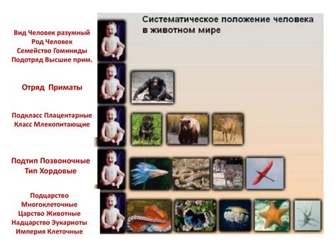Физиологические аспекты животного спаривания