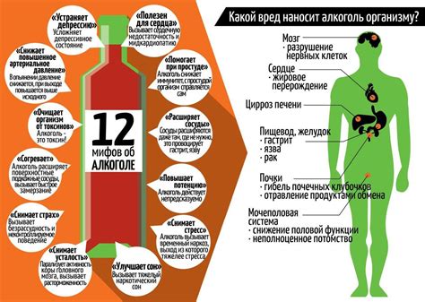Физиологические аспекты опьянения