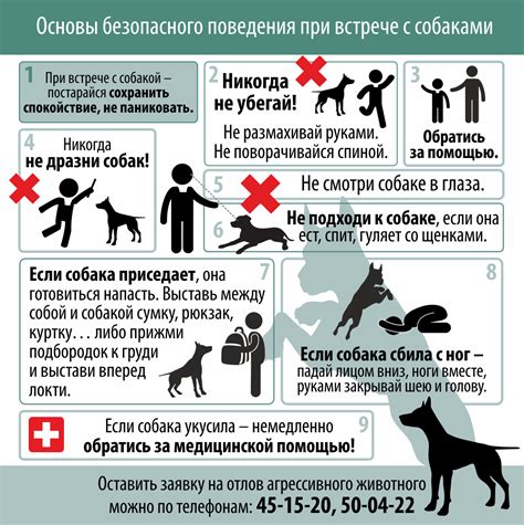 Физиологические изменения при взаимодействии с собакой