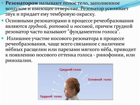 Физиологические основы
