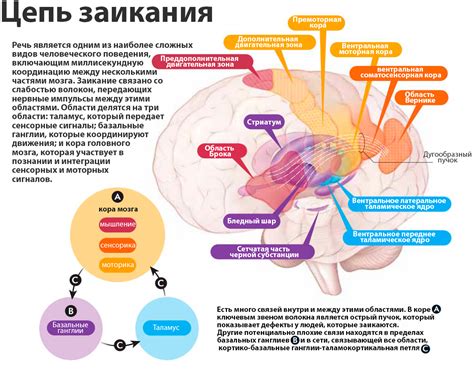 Физиологические причины желания есть острое