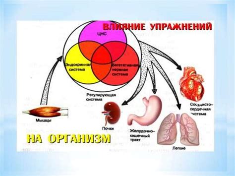 Физиологические функции слез