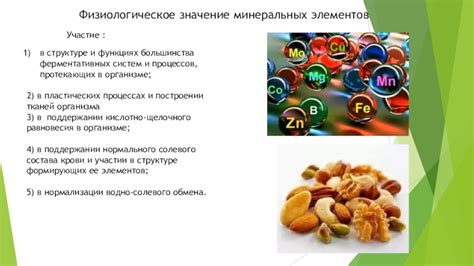 Физиологическое значение сахаров в организме