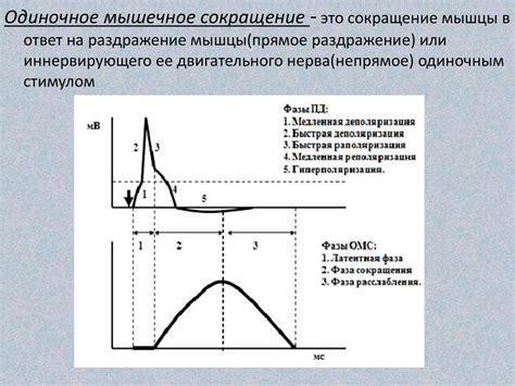 Физиология момента: график глазоподъема и покидания гнезда