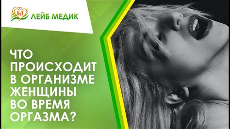 Физиология оргазма: что происходит в организме во время сексуального экстаза