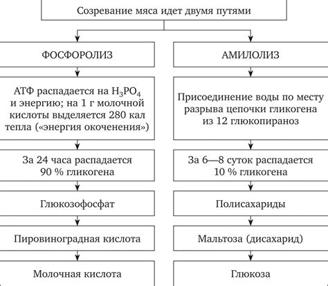 Физические и биохимические ограничения