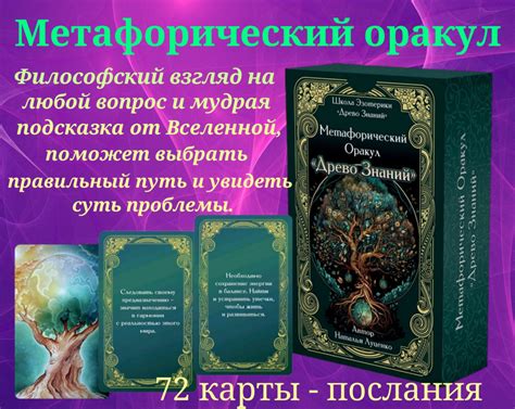 Философский взгляд на новизну: смысл и значение