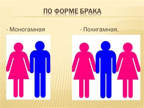 Финансовые и бытовые аспекты полигамии