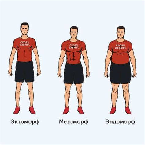 Форма тела