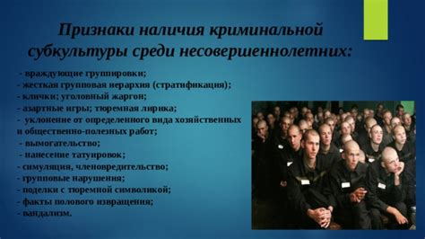 Формирование тюремной субкультуры