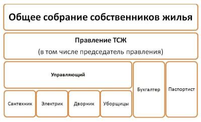 Функции и полномочия председателя ТСЖ