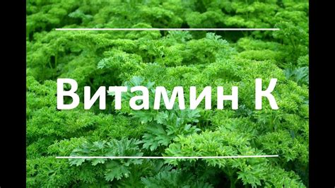 Функции и польза