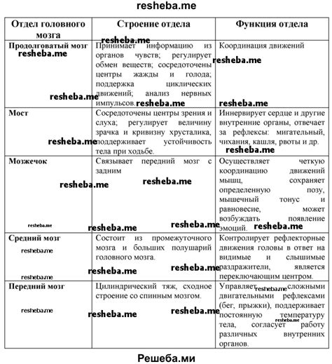 Функции qui и их различия с dont и que