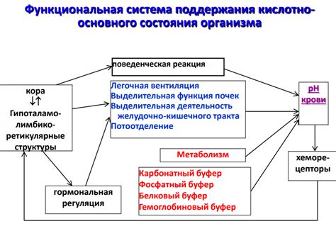 Функциональная сущность реакции организма