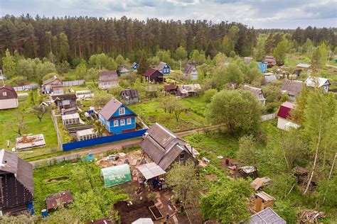 Характеристики породы: что важно знать перед покупкой