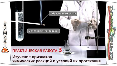 Химические реакции в организме: наука об аттракции
