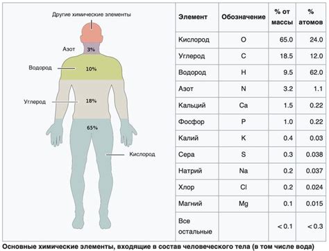 Химический состав оргазма и его эффект на организм