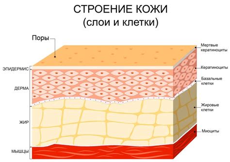 Холод или морозные обгоревшие участки кожи