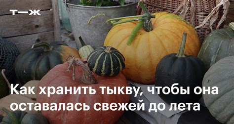 Хранение нарезанной тыквы в контейнере