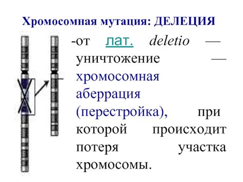 Хромосомная мутация: потенциальные последствия удаления средней части хромосомы