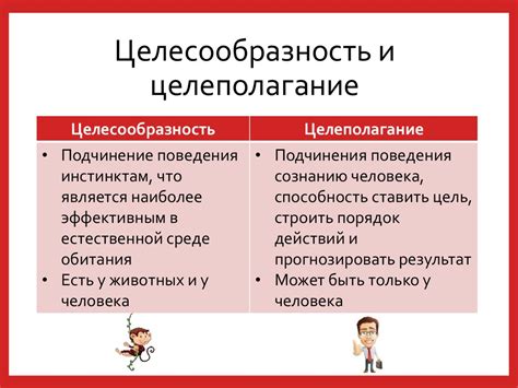 Целесообразность и ограничения