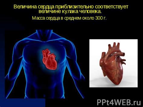 Человеческое сжигание и его влияние на организм