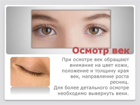 Чесание глаз и век