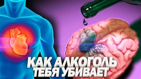 Чрезмерное употребление сладкого и его влияние на организм