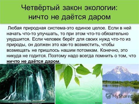 Что говорит закон о возможности выселения