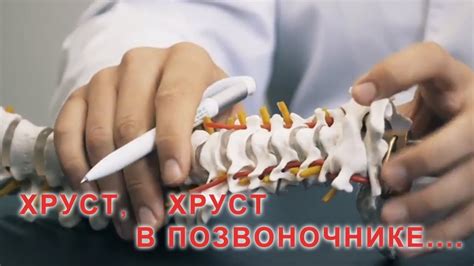 Что делать, если спина хрустит: профилактика и лечение