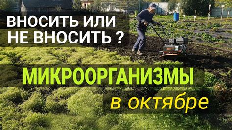 Что делать после уборки урожая