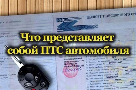 Что представляет собой ПТС и его значение