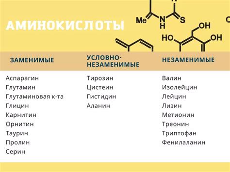 Что такое аминокислоты и их роль в белке