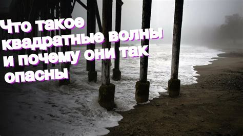 Что такое кожееды и почему они опасны