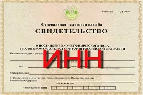 Что такое электронный ИНН и зачем он нужен