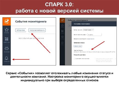 Шаг 3: Информационный сервис "СПАРК"