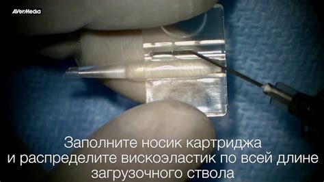 Шестой этап: Использование инфузории для восстановления картриджа