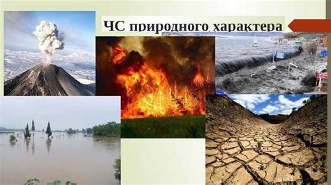 Шокирующие цифры: масштабы последней природной катастрофы