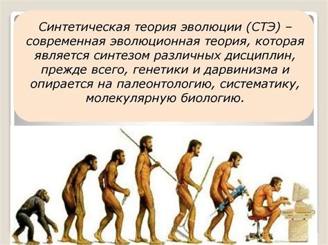 Эволюция представления о детстве