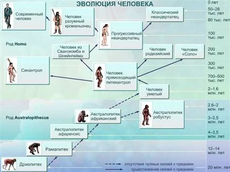 Эволюция рода Homo